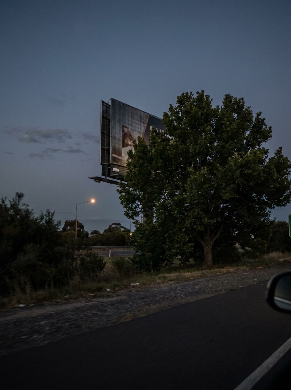 A large-format billboard at dusk, half hidden behind a plane tree, photographed from a passing car